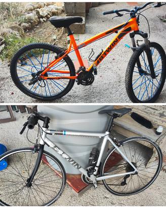2 bici MTB e strada