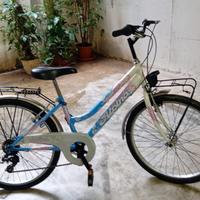 Bici taglia 24