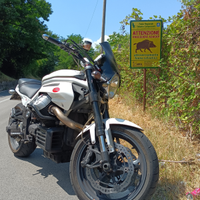 Moto Guzzi Griso 1200 8v