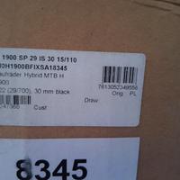 Ruota DT SWISS H1900 29" boost anteriore