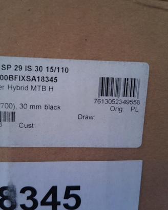 Ruota DT SWISS H1900 29" boost anteriore