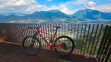 mtb in carbonio Megamo Factory 30
