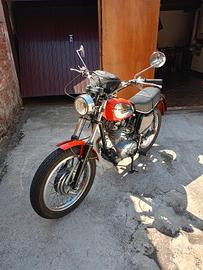 Ducati scrambler 350