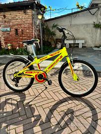 Bicicletta Rollmar