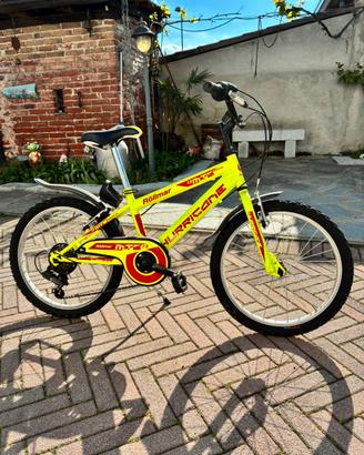 Bicicletta Rollmar