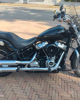 HARLEY DAVIDSON SOFTAIL ST. 107" ANNO 2021