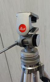 cavaletto professionale Lead