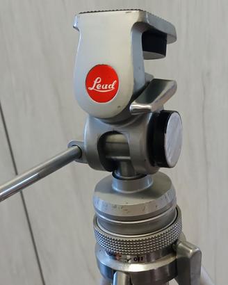 cavaletto  Lead