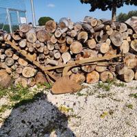 aratro antico idea arredo giardini