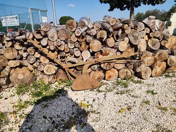 aratro antico idea arredo giardini