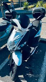 Kymco agility 16+ 150cc  2017  bianco