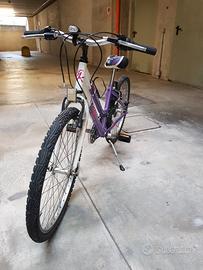 bicicletta da bimba
