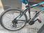 Immagine 5