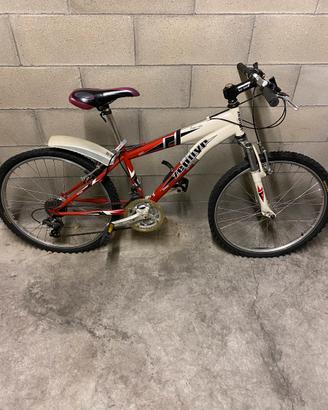 Mountain bike