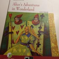 libro Alice's Aventures in Wonderland