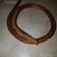 SerpentI in legno