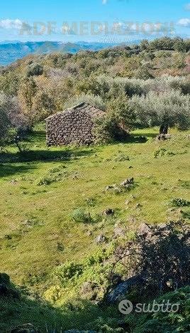 Terreno Agricolo Con Rudere - Vista 4