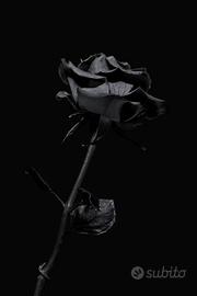 Amore e Inganno – Thriller Psicologico Avvincente