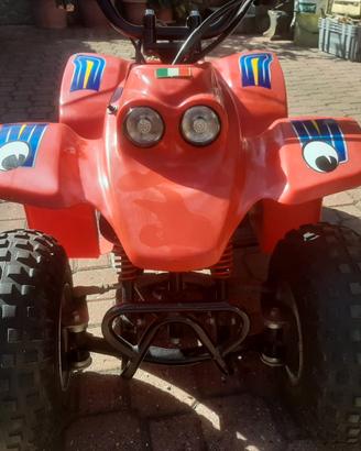 Quadzilla buzz 50 kids
