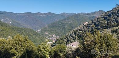 Terreno x 2 villette ad Avegno