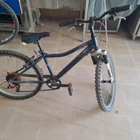 Bici MTB da 24