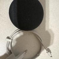 Google home assistant