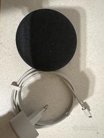 Google home assistant