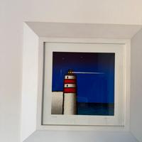 Quadri tino stefanoni