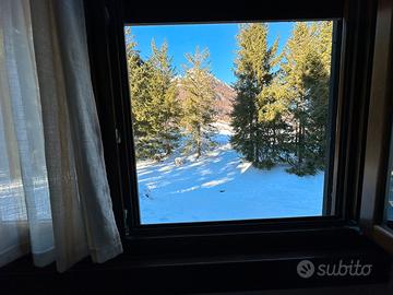 Piancavallo 50 m piste da sci