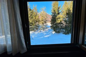 Piancavallo 50 m piste da sci