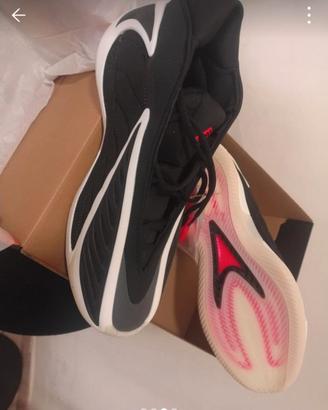 Scarpa