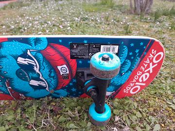 skateboard  con accessori