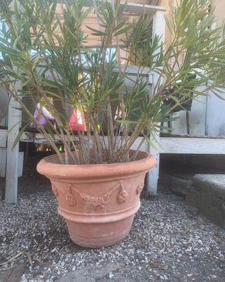 Conca festonatatoscana diam. 47 terracotta