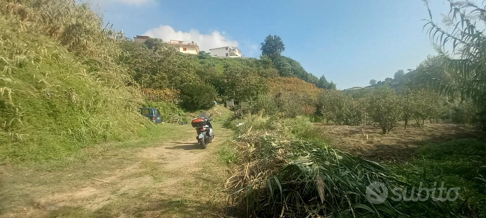 Pianura Via Angogna Rif.123T - Vista 5