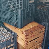 cassette frutta e verdura 