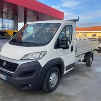 Fiat Ducato cassonato