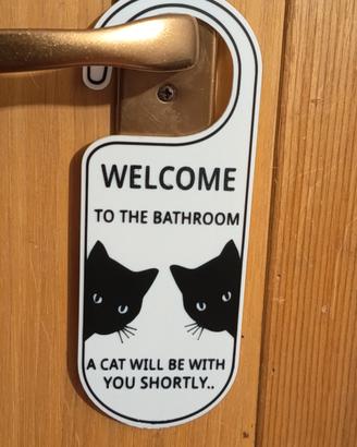 segna porta ironico gatti