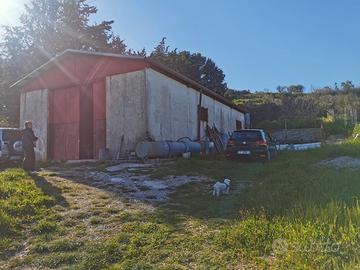 Capannone con piccolo terreno