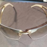 Occhiali FERRE GF57401