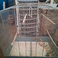 gabbia per uccellini 