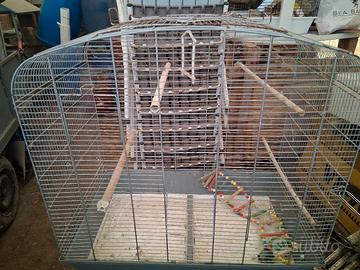 gabbia per uccellini 