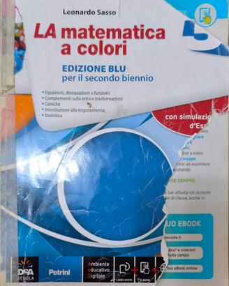 La matematica a colori. Ediz. azzurra.(Vol. 3)