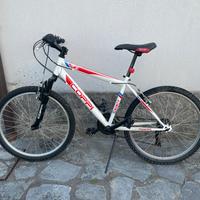 Bicicletta ragazzo mountain bike Coppi cerchio 24