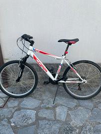 Bicicletta ragazzo mountain bike Coppi cerchio 24