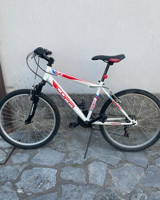 Bicicletta ragazzo mountain bike Coppi cerchio 24