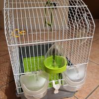 gabbia per cocorite o canarini