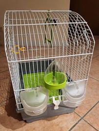 gabbia per cocorite o canarini