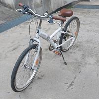 bicicletta ragazzo (a)