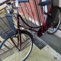 Bicicletta