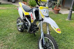 Pit bike profive pfx 125